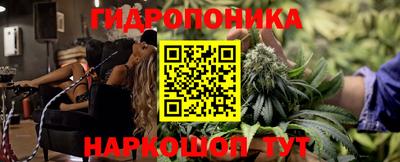 СК Усть-Илимск