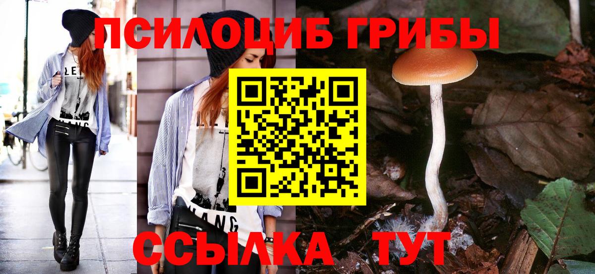 Алушта  Псилоцибиновые грибы MAGIC MUSHROOMS  Вход с VPN 