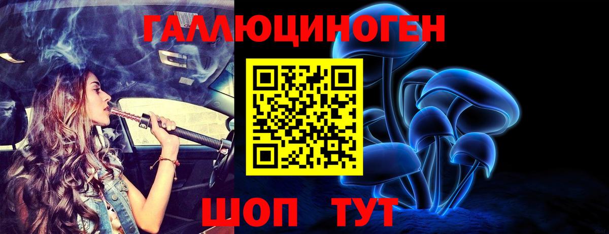 Псилоцибиновые грибы прущие грибы Алушта